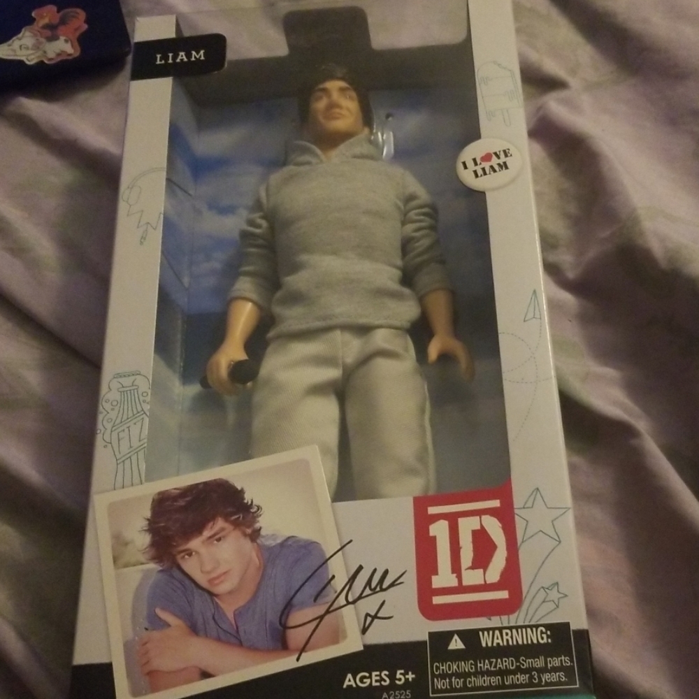 One direction doll